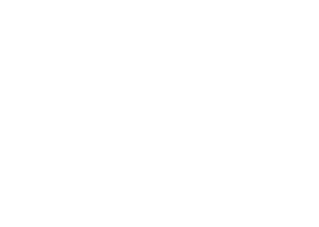 Colourday Festival