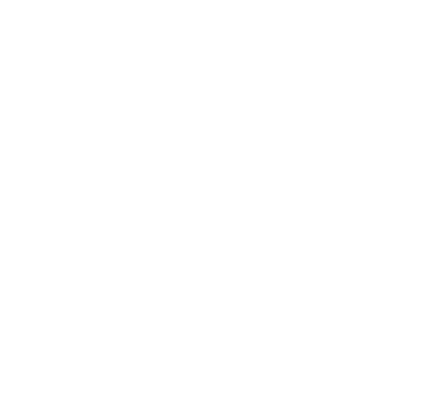 Saint Soles