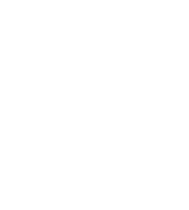 Smart Park