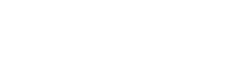 TeamSoft